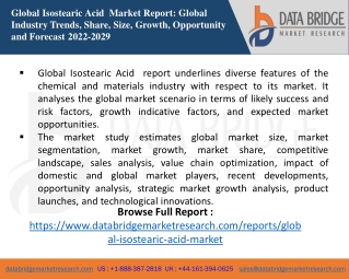 Isostearic Acid Market