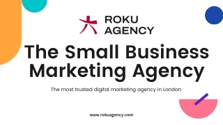 The Best Small Marketing Agency in UK | Roku Agency