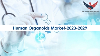 The Rise of Human Organoids Market  in Medical Research and Therapeutics 2023