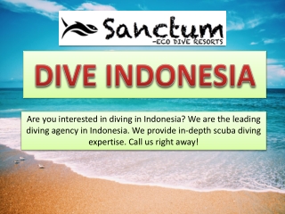 DIVE INDONESIA 2