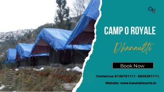 Luxury Camping in Dhanaulti | Camp O Royale Dhanaulti