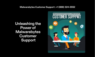 1 (888) 324-5552 Malwarebytes Customer Support Number USA