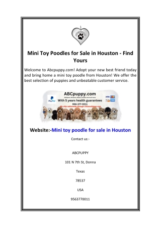 Mini Toy Poodles for Sale in Houston - Find Yours