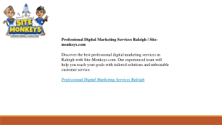 Professional Digital Marketing Services Raleigh  Site-monkeys.com