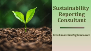 Work performed by Sustainability Reporting Consultant