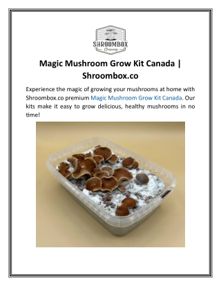 Magic Mushroom Grow Kit Canada  Shroombox.co