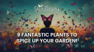 9 Fantastic Plants to Spice Up Your Garden!