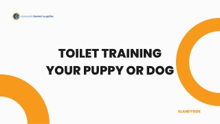 Toilet Training Your Puppy Or Dog - Slaneyside Kennels