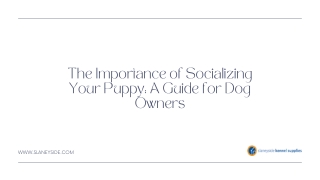 The Importance of Socializing Your Puppy A Guide for Dog Owners - Slaneyside Kennels