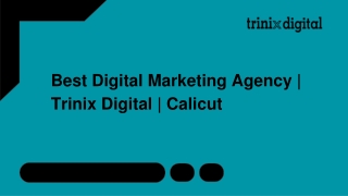 Best Digital Marketing Agency | Trinix Digital | Calicut