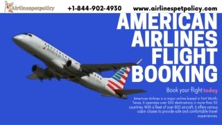 American Airlines Reservations