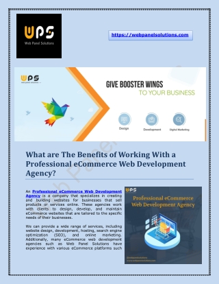 Professional eCommerce and Software Web Development Agency - Web Panel Solutions