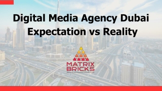 Digital Media Agency Dubai Expectation vs Reality