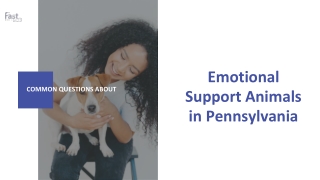 FAQs Related to Emotional Support Animal in Pennsylvania