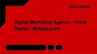 Digital Marketing Agency | Trinix Digital | Malappuram