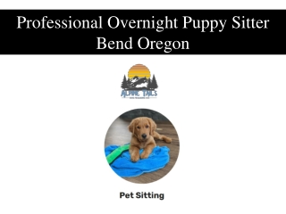 Professional Overnight Puppy Sitter Bend Oregon