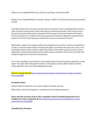 In Vitro Lung Model Market