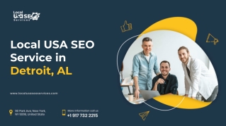 Local USA SEO Service in Detroit, AL