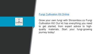 Fungi Cultivation Kit Online Shroombox.co