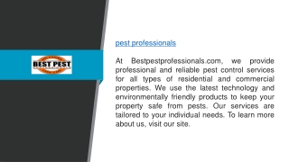 Pest Professionals  Bestpestprofessionals.com