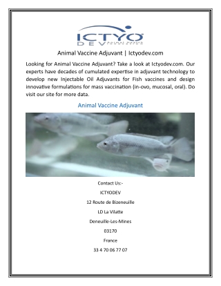 Animal Vaccine Adjuvant  Ictyodev