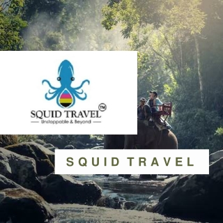 Best Wildlife Tours In India | Squid Travel