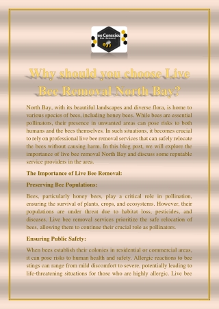 Why should you choose Live Bee Removal North Bay