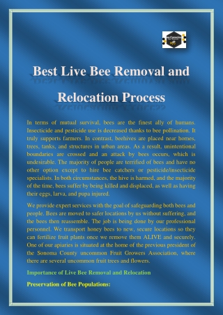 Best Live Bee Removal and Relocation Process