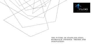 STAINLESS-STEEL HYDRAULIC FITTINGS (1)