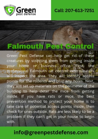 Falmouth Pest Control | Falmouth Wasp Control