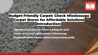 Carpet Stores in Mississauga | How to Find Budget-Friendly Carpets