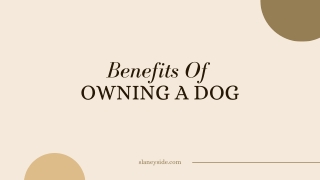 Benefits Of Owning A Dog - Slaneyside Kennels