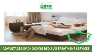 Advantages Of Choosing Bed Bug Treatment Services