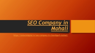 SEO Company in Mohali