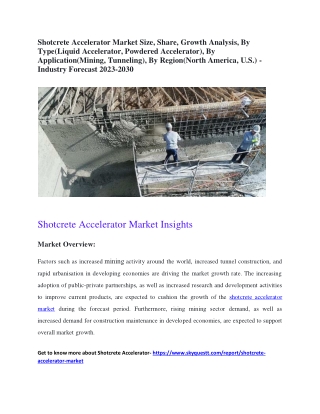 Shotcrete Accelerator Market Size