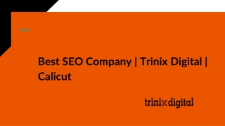 Best SEO Company | Trinix Digital | Calicut