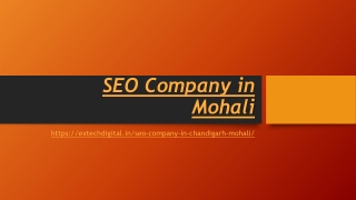 SEO Company in Mohali