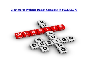 Ecommerce Web Design India