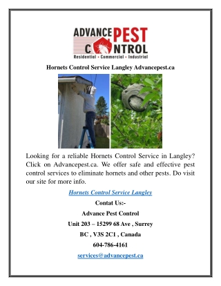 Hornets Control Service Langley Advancepest.ca