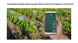 Sustainable Sprinkling Enhancing Water Efficiency with Smart Irrigation in Charlotte NC