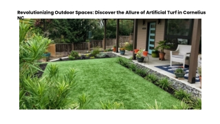 Revolutionizing Outdoor Spaces Discover the Allure of Artificial Turf in Cornelius NC