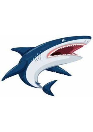 Loan Shark Solutions