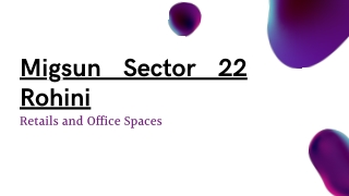 Migsun Sector 22 Rohini Delhi - PDF