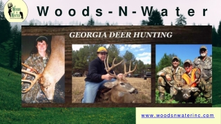 Hardest found whitetail deer hunting in Georgia