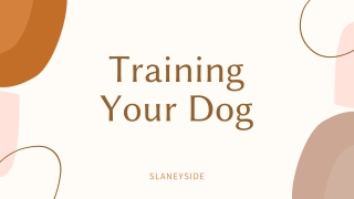 Training Your Dog - Slaneyside Kennels