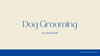Dog Grooming - Slaneyside Kennels