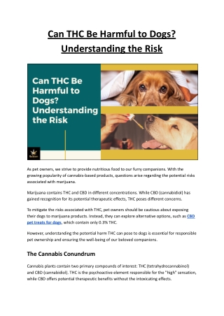 Can THC Be Harmful to Dogs? Understanding the Risk