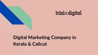 Digital Marketing Company in Kerala & Calicut