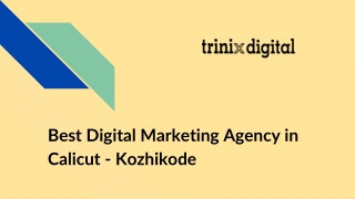 Best Digital Marketing Agency in Calicut - Kozhikode