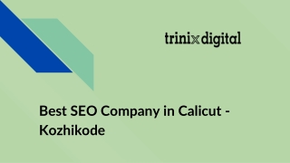 Best SEO Company in Calicut - Kozhikode